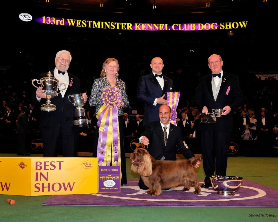 CH Clussexx Three D Grinchy Glee, better known as "Stump," won the coveted Best in Show title in the 2009 Westminster Kennel Club Dog Show in New York.