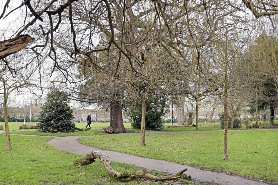 Downhills Park, with its tennis courts, is a go-to for shorter walks (Daniel Lynch)