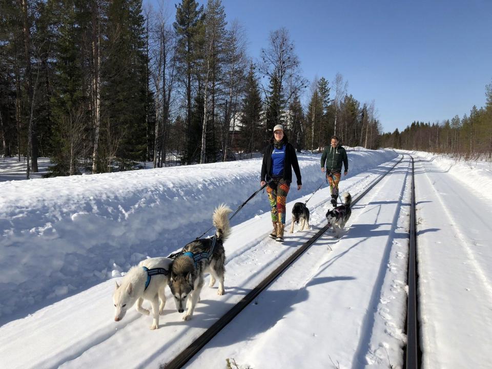 Julia und Sven (Archivbild von 2018) wollten in Schweden Huskys züchten. (Bild: TVNOW)