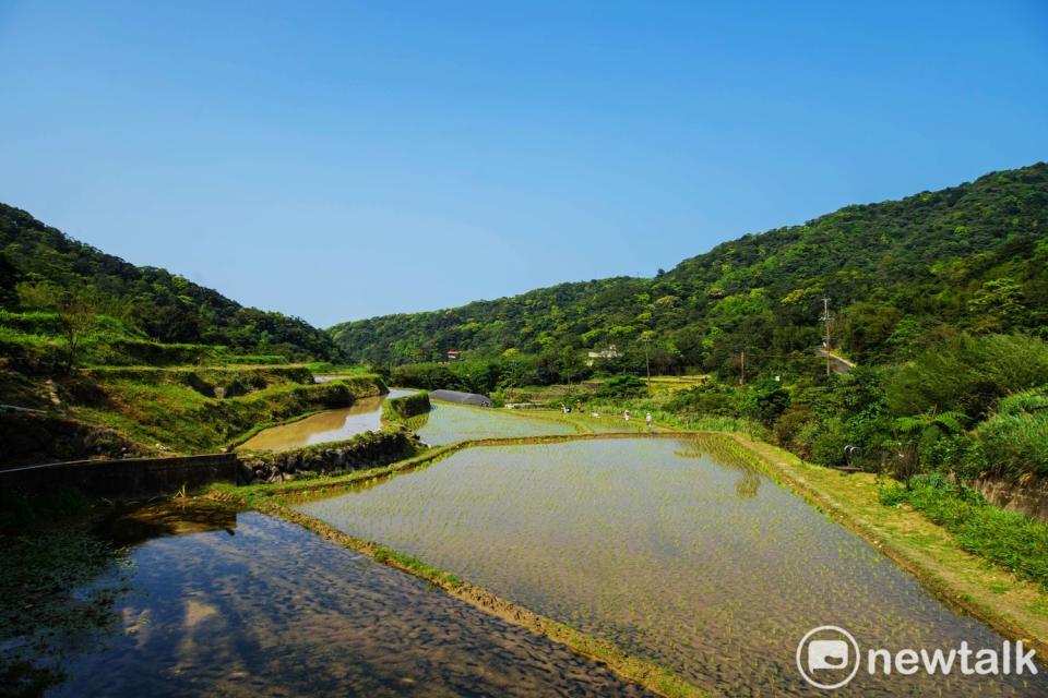 攝影愛好者王鵬程鏡頭下的新北市石門嵩山社區百年梯田。