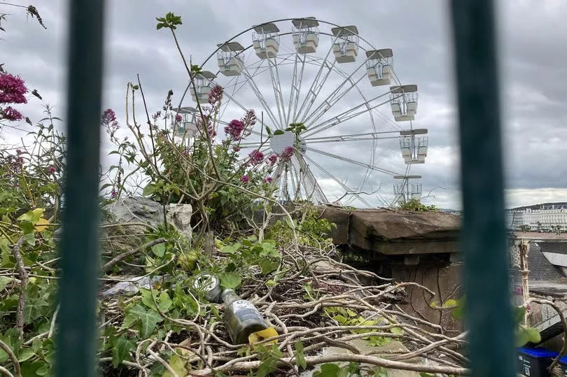 Glass and plastic bottles discarded in vegetation near Llandudno Pier's ferris wheel