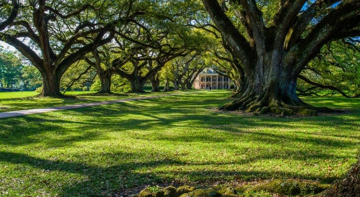 Oak Alley Historic Plantation in Mississippi