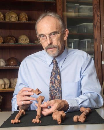 UT Austin professor John Kappelman with 3D printouts of Lucy’s skeleton illustrating the compressive fractures in her right humerus that she suffered at the time of her death 3.18 million years ago. Marsha Miller/The University of Texas at Austin/Handout via Reuters