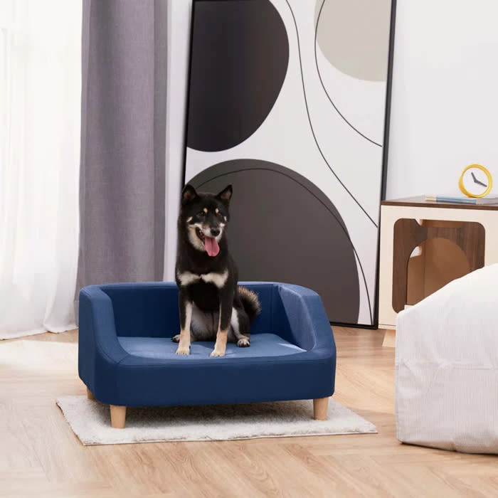 A Shiba Inu dog sits on the bed in navy