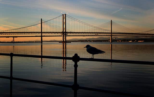 Forth bridges