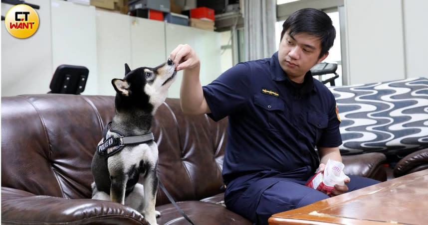 員警林瑾孝經常利用勤餘時間，帶著嚕嚕米四處散步，寵溺餵食的模樣令人稱羨。（圖／記者方萬民攝）