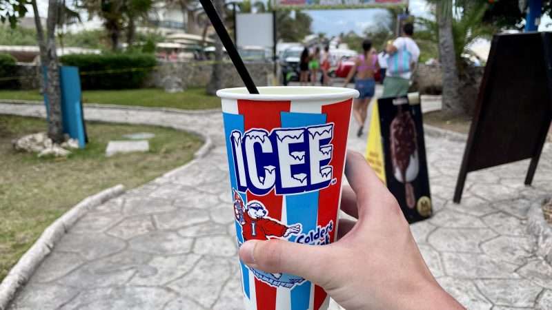 A hand holds an ICEE branded cup at an outdoor park.