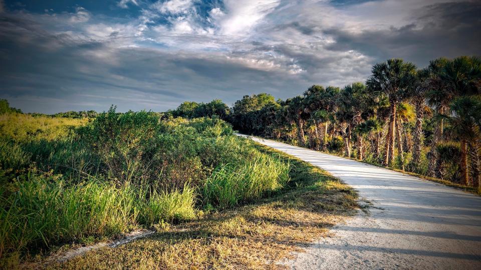 The verdant, big sky-engulfing Emeralda Marsh Wildlife Drive is a narrow, sometimes bumpy one-way corridor that's 4 miles long and designated a Great Florida Birding and Wildlife Trail.