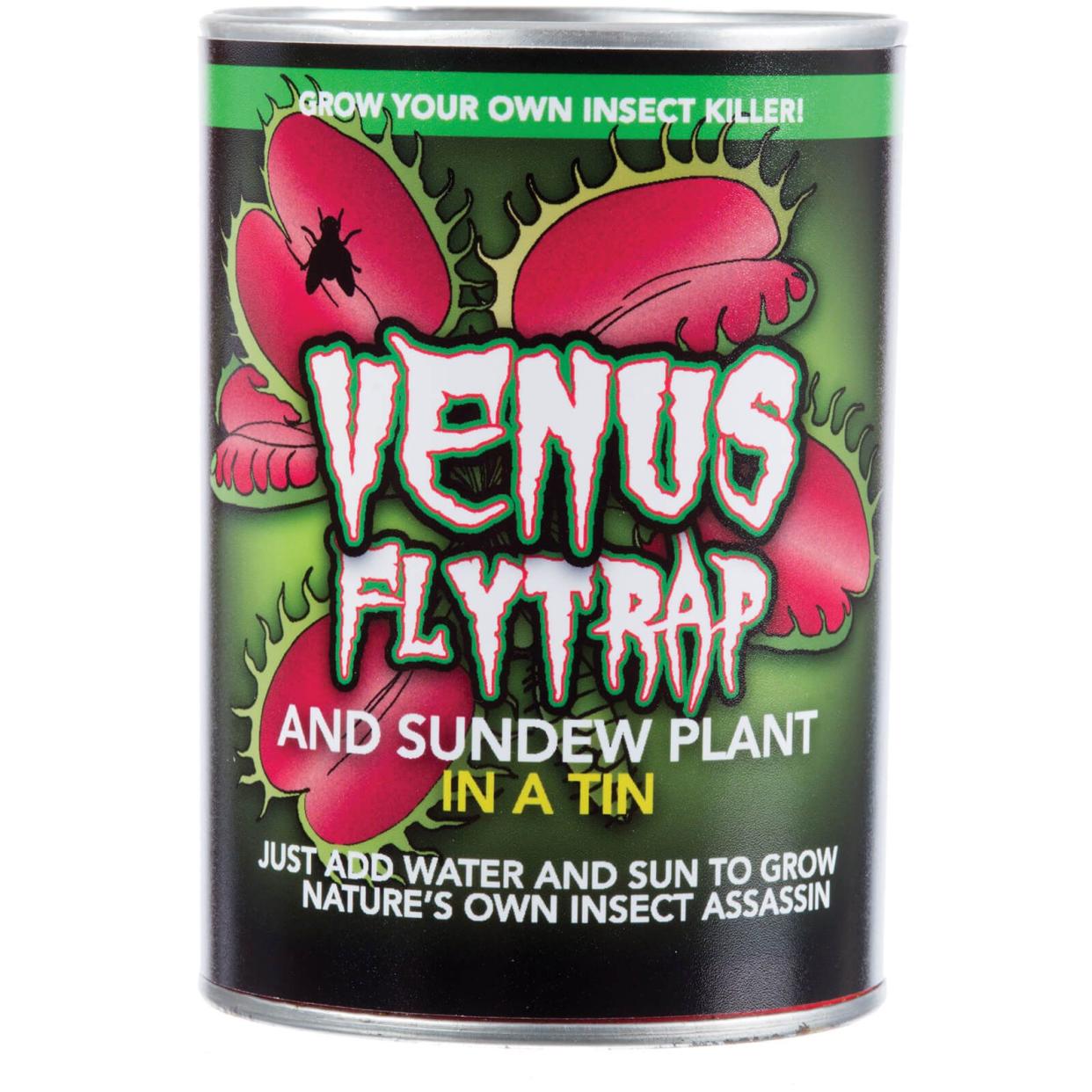 Grow Your Own Venus Fly Trap