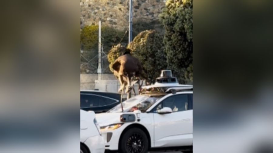 A person was seen trashing a Waymo car on Saturday, April 20 in San Francisco.