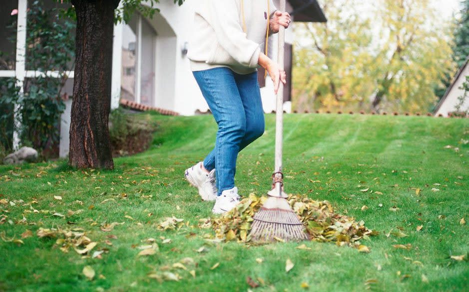 It's time to clear up leaves, dirt and grime  - Alamy