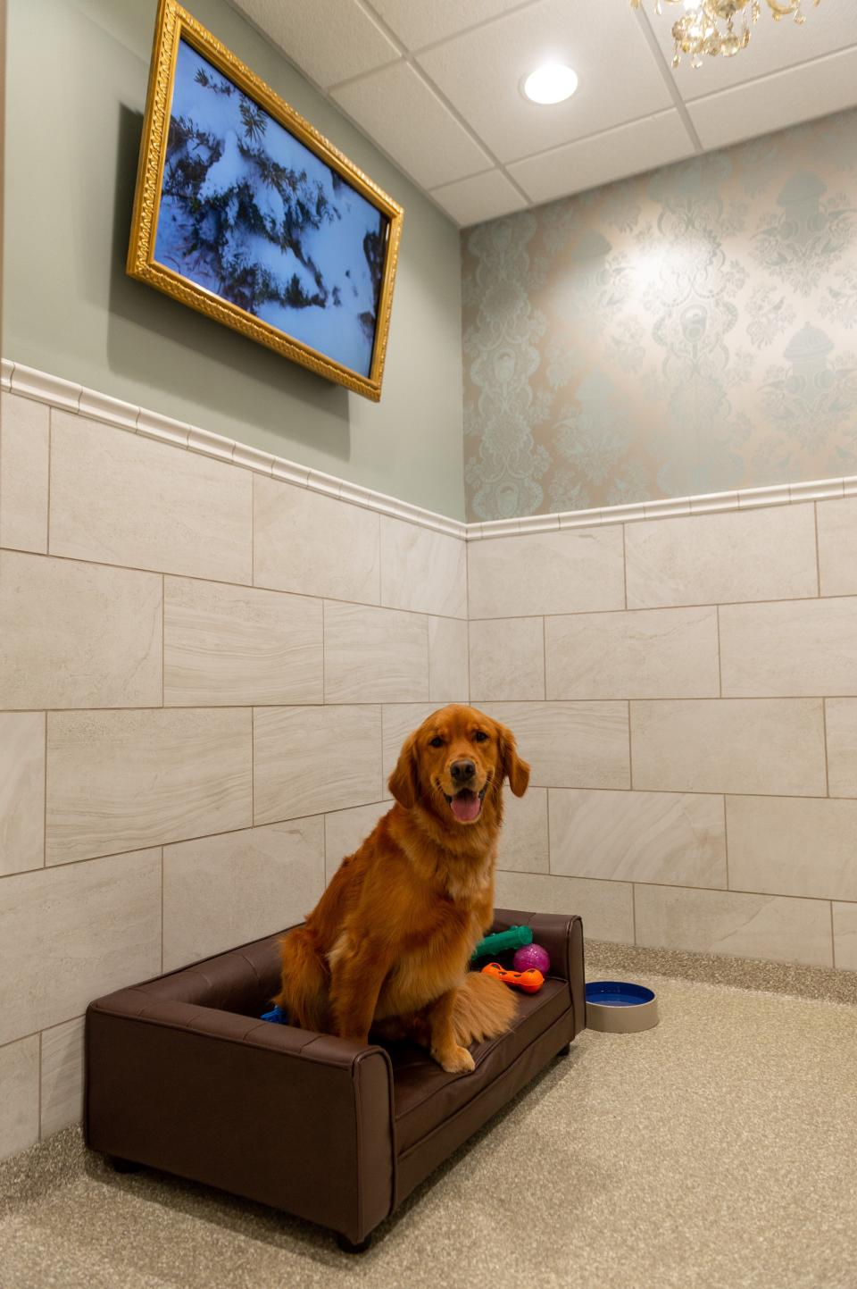 An award-winning dog hotel and daycare chain is opening its first Wisconsin location in Brookfield.