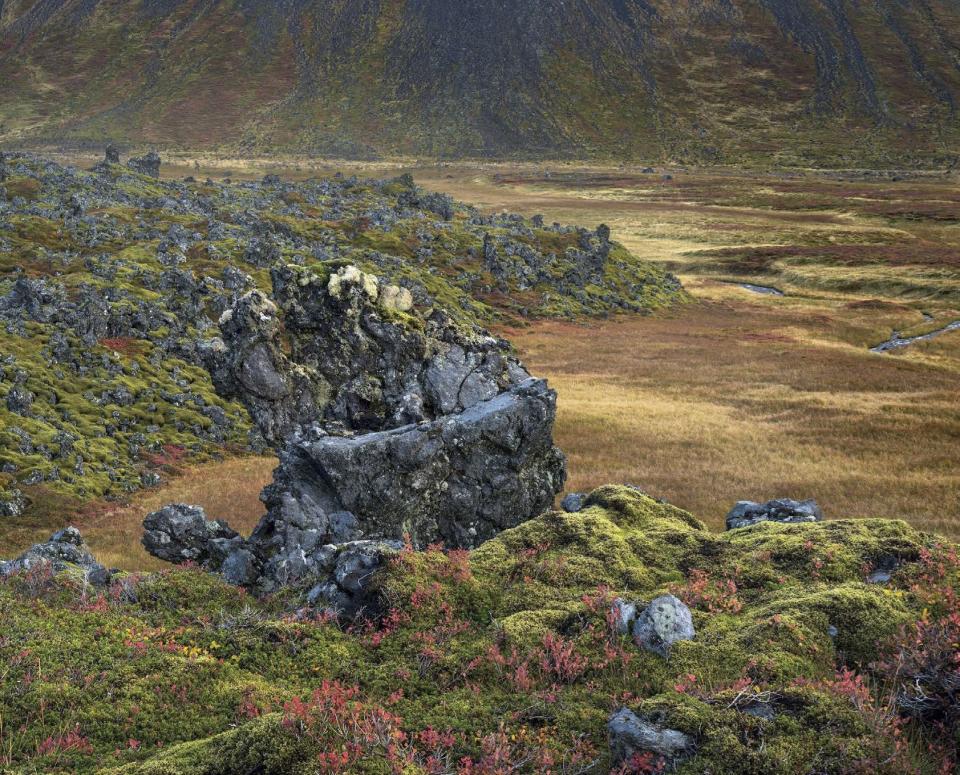 By Hans Strand: Lava field, Snaefellsnes, Iceland.