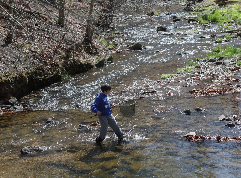 Ryan Schneider, 12, of Wilmington, crosses Beaver Creek along Beaver Dam Road as he tries his luck on the first day of trout fishing in upstate Delaware - reserved for young people - Saturday, April 1, 2023. Stocked streams are open to all anglers (with requirements for fishing licenses and stamps for most) beginning Sunday morning.