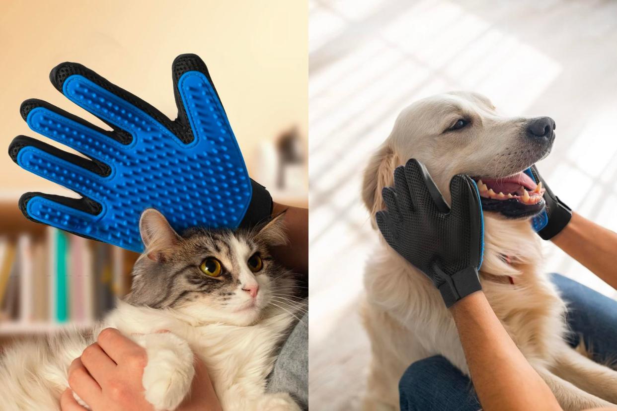 the pet grooming glove being used on a cat and a dog