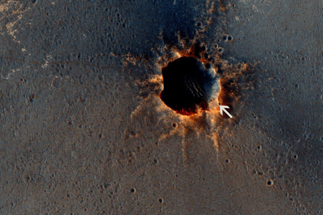 No liquid water has been found on Mars, though ice has been discovered at the poles. All life forms need water to survive, so the existence of a water source could point to a haven for primitive life.