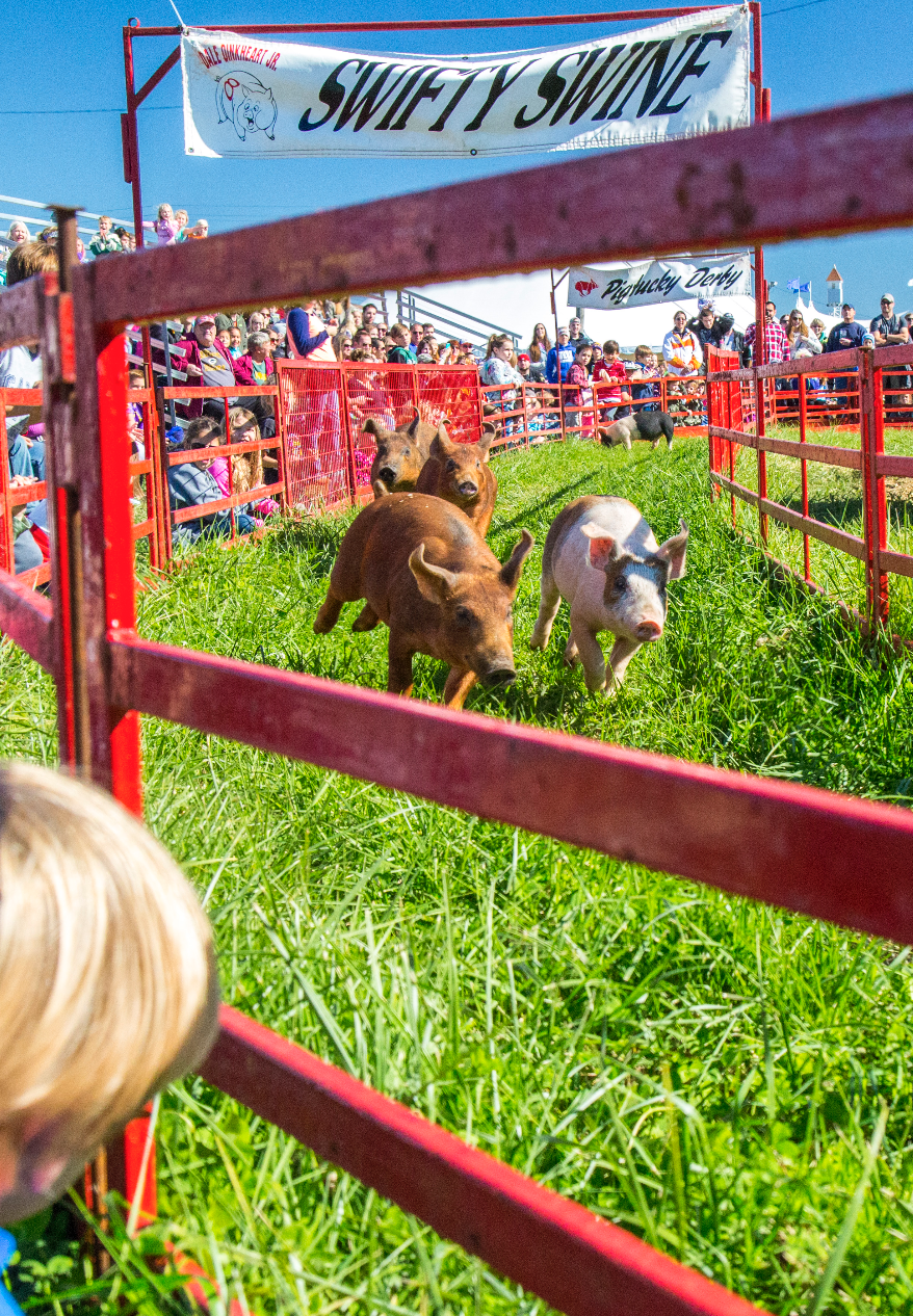 7) Sever’s Corn Maze and Fall Festival