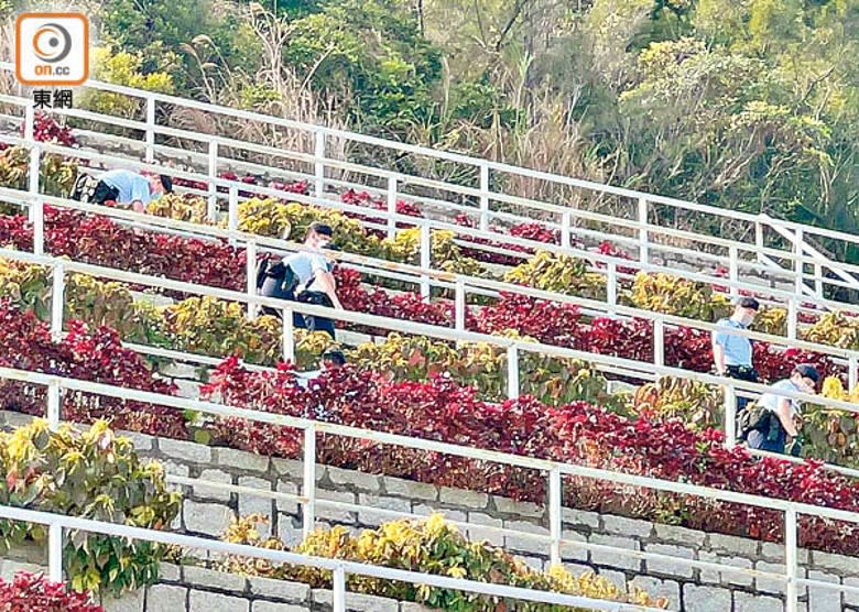 機動部隊在將軍澳墳場的花叢搜證。（吳鎮興攝）