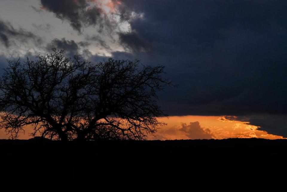 An oak is silhouetted against the sunset along County Road 461 in Callahan County Saturday Feb. 10, 2024. Texas House District 71 saw the addition of the county, which before had only included Taylor, Jones and Nolan counties, after the 2020 census and subsequent redistricting.