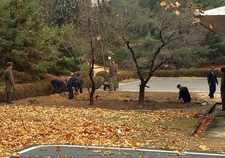 North Korean soldiers dig a trench and plant trees in the area where, on November 13, a defector ran across the border at the Demilitarized Zone (DMZ) dividing North Korea and South Korea November 22, 2017. Handout via REUTERS