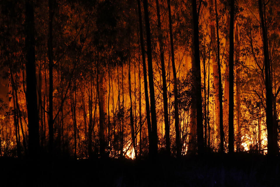 Bushfires are seen between the towns of Orbost and Lakes Entrance in east Gippsland on Jan. 02, 2020 in Australia. (Photo by Darrian Traynor/Getty Images)