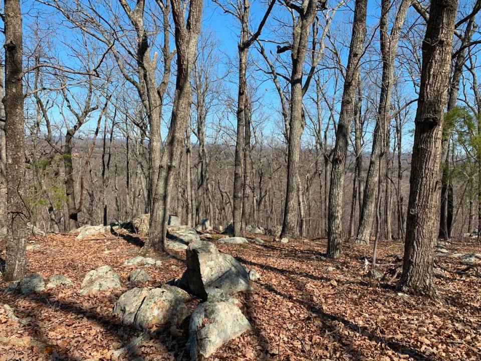 The view from top of Pine Hill in Cane Creek Mountains Natural Area in southwest Alamance County.