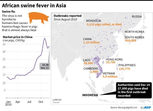 Map showing parts of Asia, where African swine fever has led to millions of pigs dying or being culled since August 2018