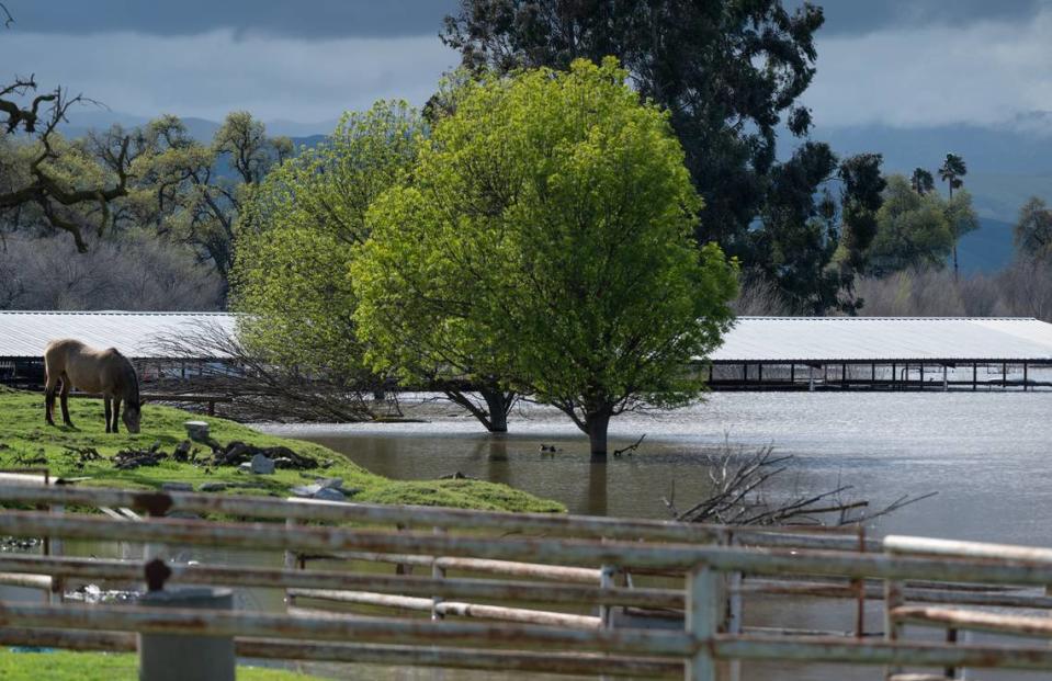 Horse stables on Old Las Palmas Avenue are underwater after the San Joaquin River flooded it banks in Patterson, Calif., Wednesday, March 22, 2023.
