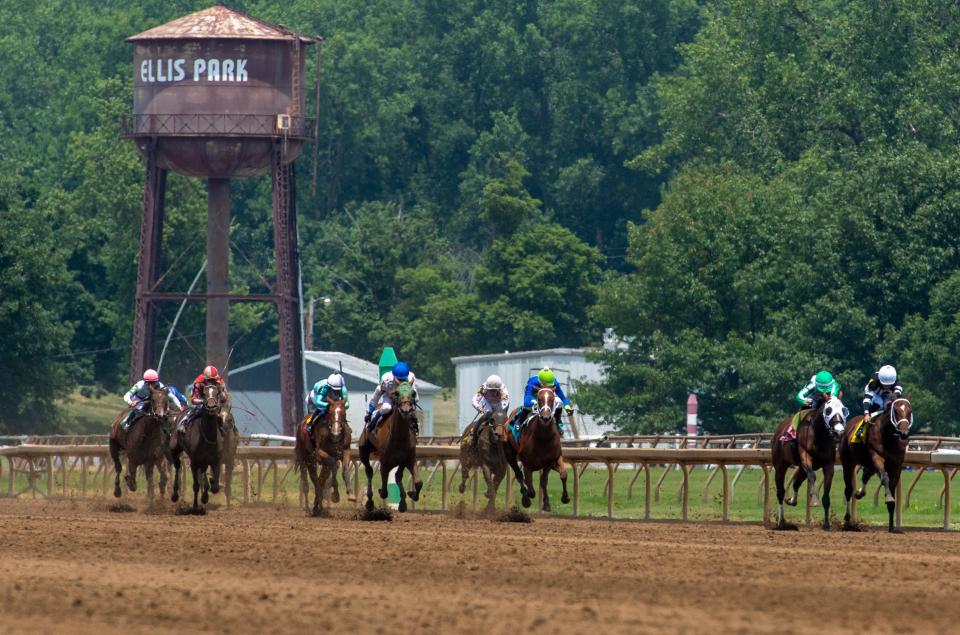 The horses make their way down the front side as Churchill Downs continues Spring Meet at Ellis Park in Henderson, Ky., after the death of a dozen horses suspended racing in Louisville Saturday, June 10, 2023.