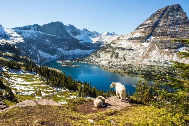 Glacier National Park