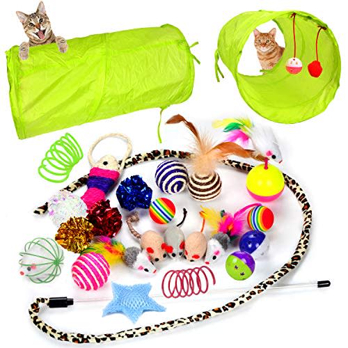 Youngever 24 Cat Toys Kitten Toys Assortments, 2 Way Tunnel, Cat Feather Teaser - Wand Interactive Feather Toy Fluffy Mouse, Crinkle Balls for Cat, Puppy, Kitty, Kitten (Amazon / Amazon)