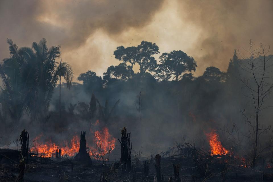 View of a burnt area of the Amazonia rainforest in Apui, southern Amazonas State, Brazil, on September 21, 2022.