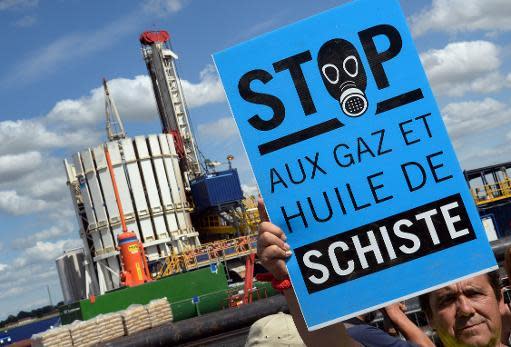 En Francia los ecologistas recibieron el respaldo del gobierno socialista (AFP)
