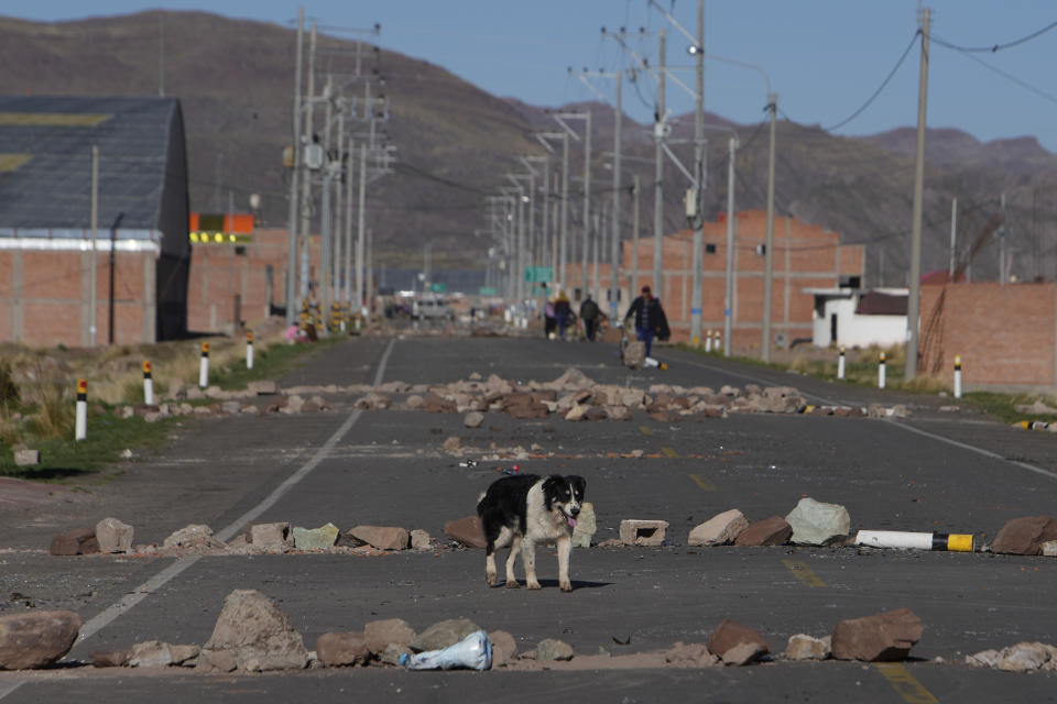 A dog walks past roadblocks set up by anti-government protesters in Desaguadero, Peru, on the border with Bolivia, Friday, Jan. 13, 2023. (AP Photo/Juan Karita)