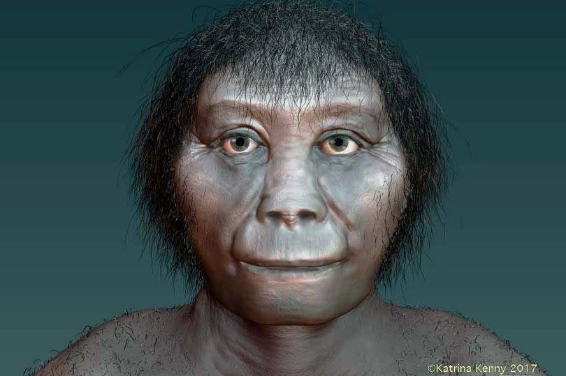 What homo floresiensis - the hobbit - may have looked like