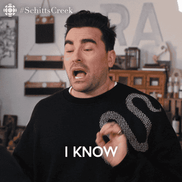 David from Schitt's Creek saying "I know, it's a lot to process"
