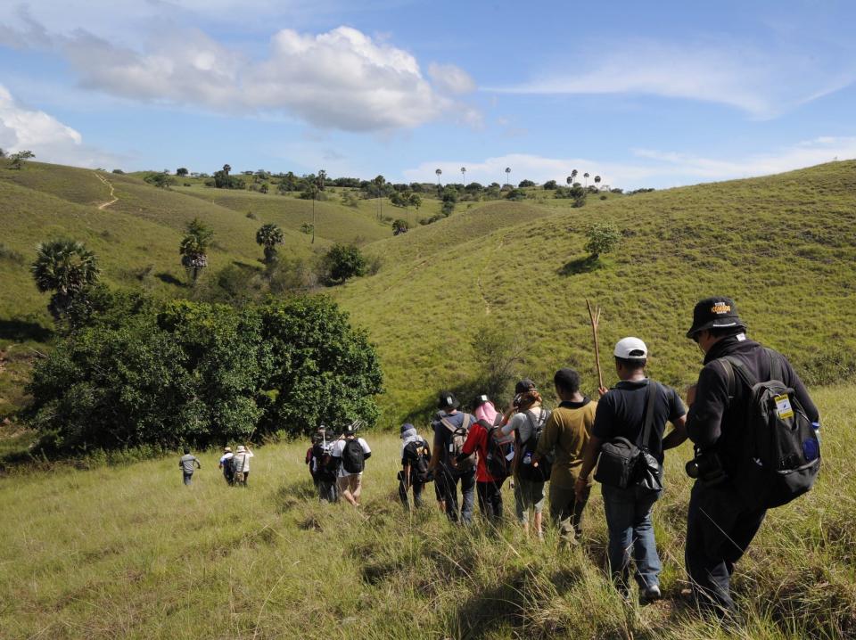 Tourists in a line trek over grassy hills on Rinca Island.