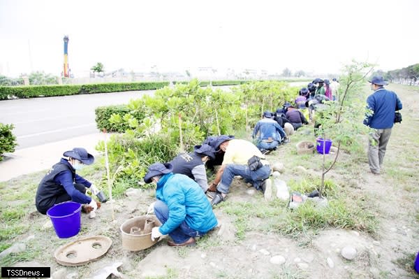 一一○年守護地球手護中港植樹活動：參與活動人員認真種樹。（圖：臺中港務分公司提供）