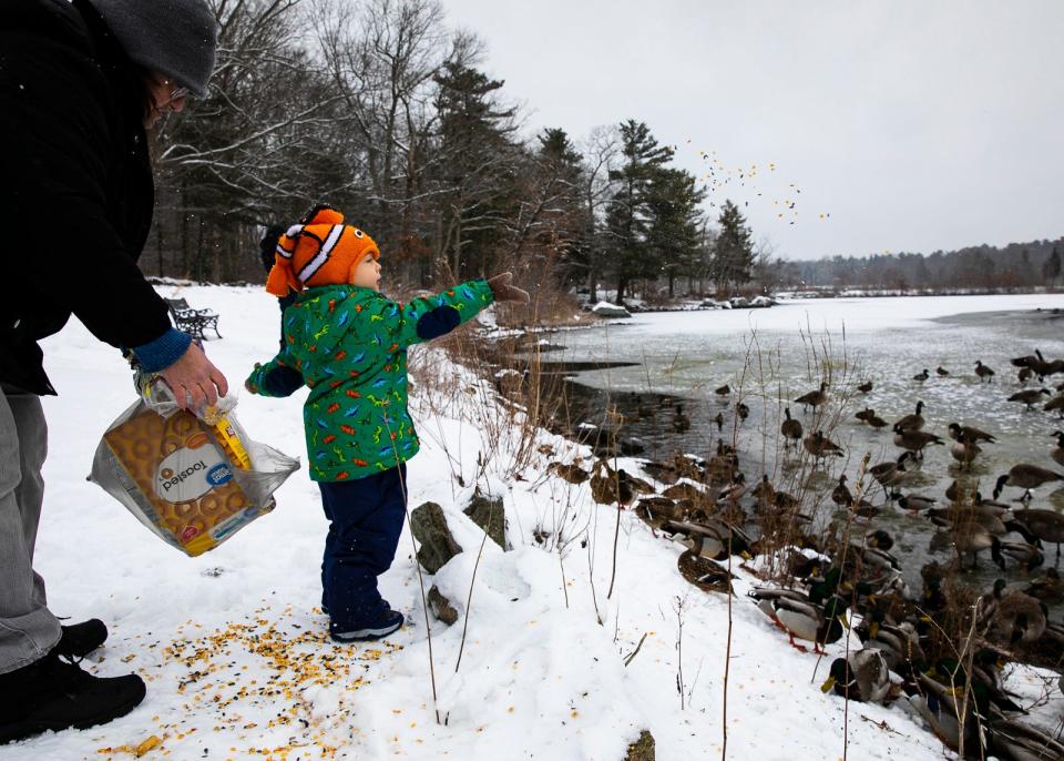 Mark Brandon, 3, of Franklin, feeds the ducks and geese at Waldo Lake in D.W. Field Park with his grandmother Clair Harrington, left, of Bridgewater, on Thursday, Jan. 28, 2021.