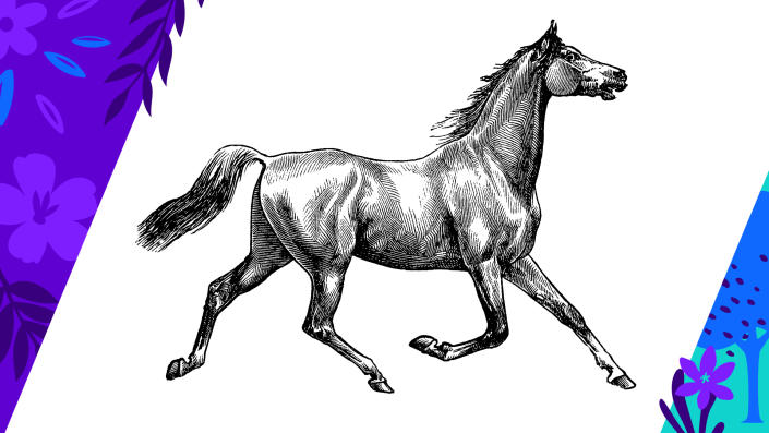 An engraving of a horse at full canter.