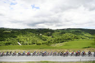 Cyclists ride during the eighth stage of the Giro d'Italia cycling race, from Foggia to to Guardia Sanframondi, Italy, Saturday, May 15, 2021. (Fabio Ferrari/LaPresse via AP)