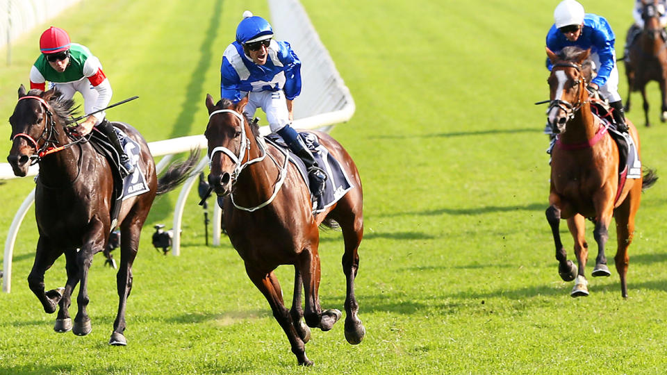 Winx wins her 33rd consecutive race. (Getty Images)