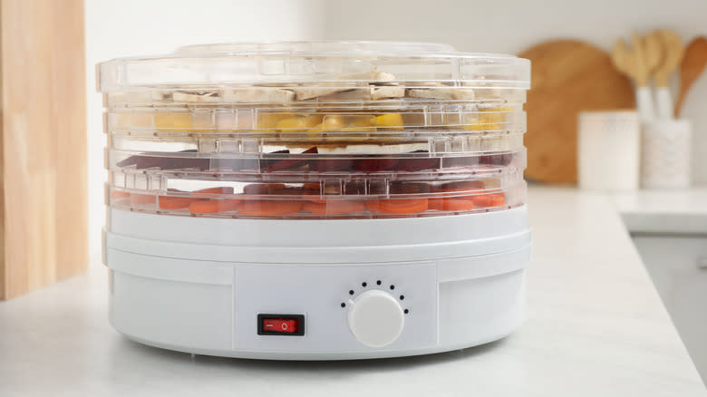 Dehydrating machine loaded with vegetables