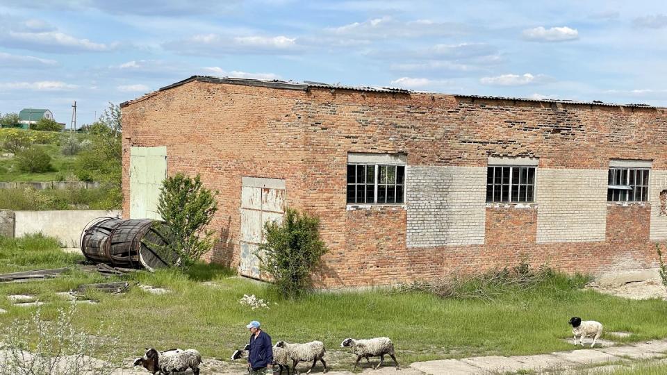 ukraine winery