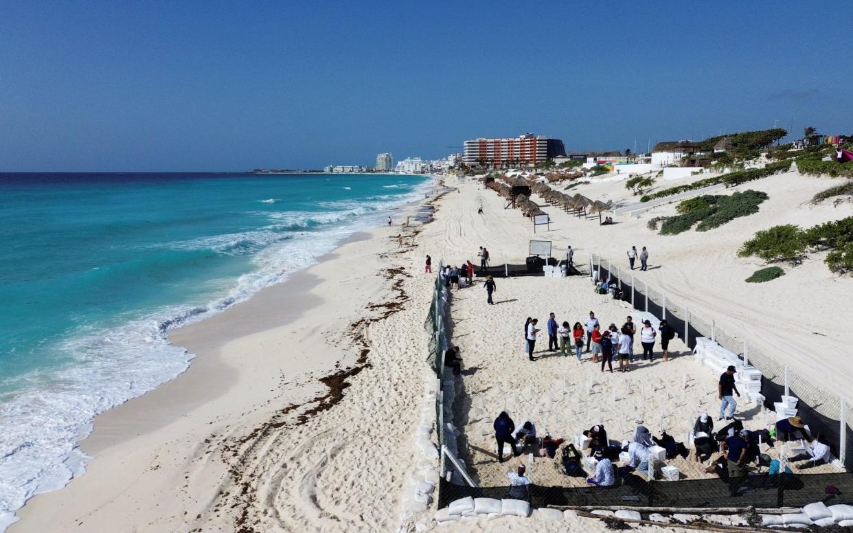 A local environment agency protects sea turtles' nests ahead the arrival of Beryl in Cancun, Mexico