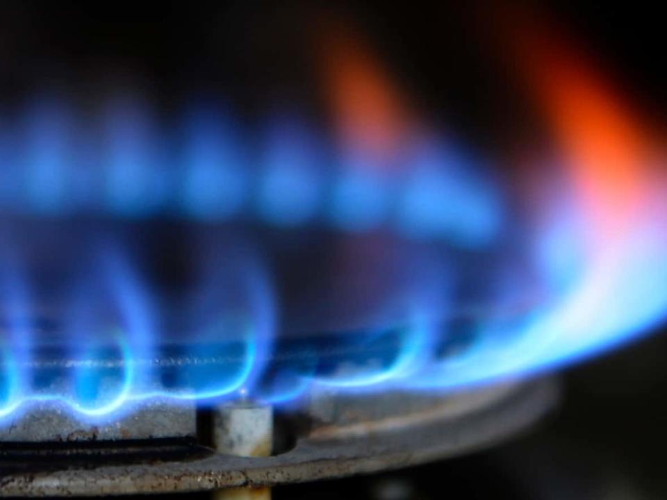 A gas cooker is seen in this file photo. Renewable natural gas or biomethane is practically identical to natural gas or methane from a chemical perspective, but comes from plant or animal sources. (Nigel Roddis/Reuters - image credit)