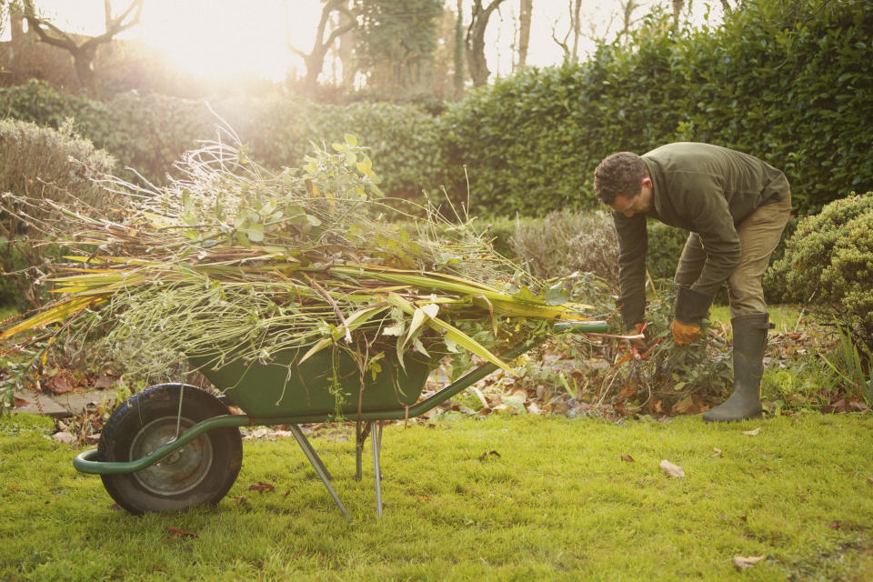 Gardening and yard work have been linked to an increased risk of ALS in men. (Image via Getty Images)