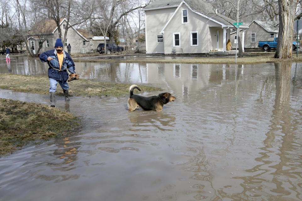 Trino Nuno and his dog Tyson navigate flooded streets in Fremont, Neb., Monday, March 18, 2019. Authorities say flooding from the Platte River and other waterways is so bad that just one highway lane into Fremont remains uncovered, and access to that road is severely restricted. (AP Photo/Nati Harnik)