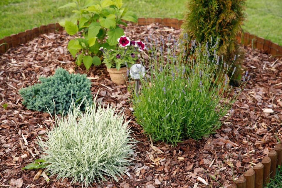 bed of mulch