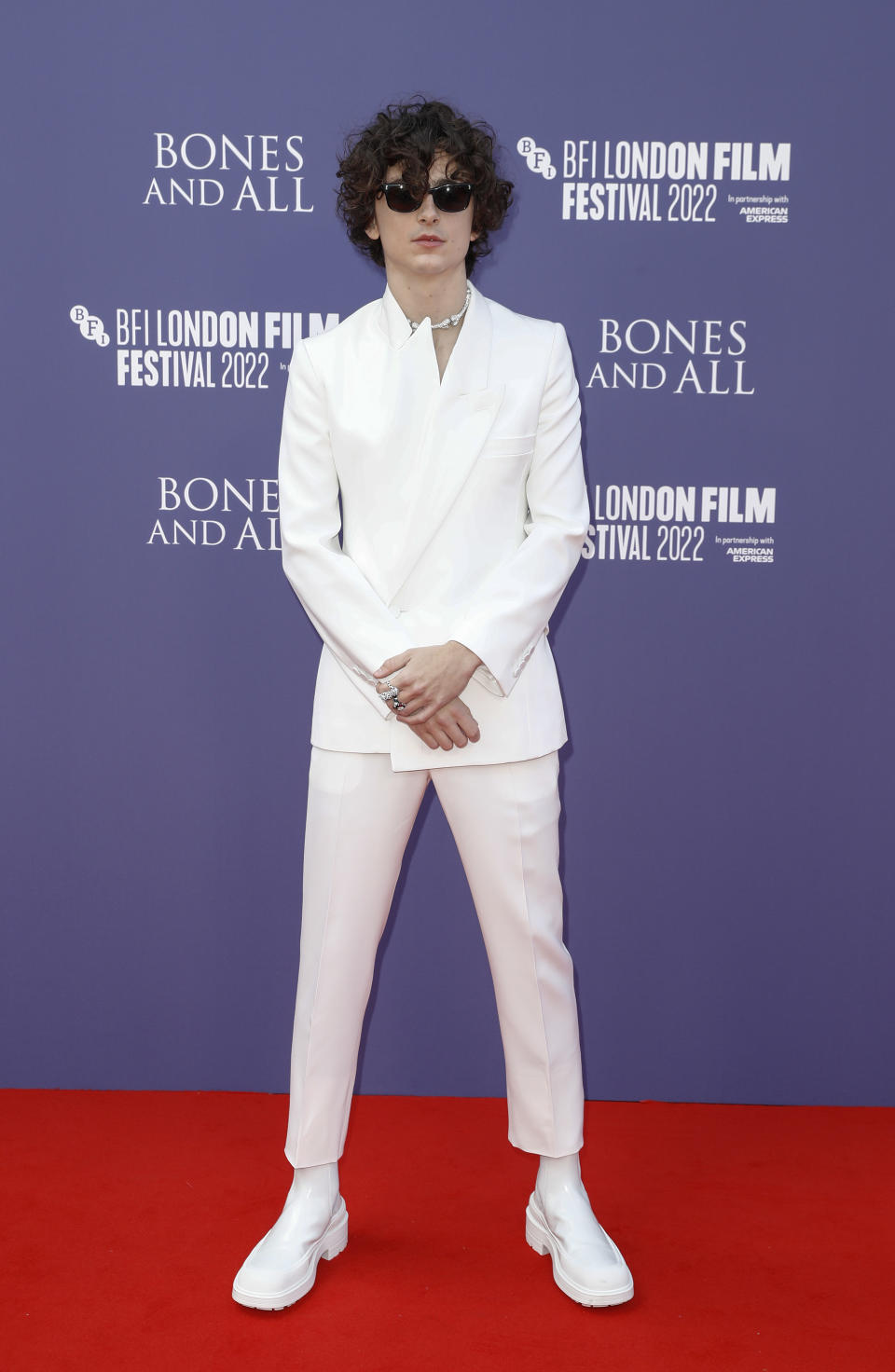 Timothee Chalamet, red carpet, film premiere, award show, shoes, sneakers, boots